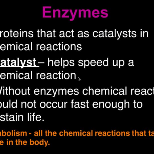 U2 V6 Enzymes 