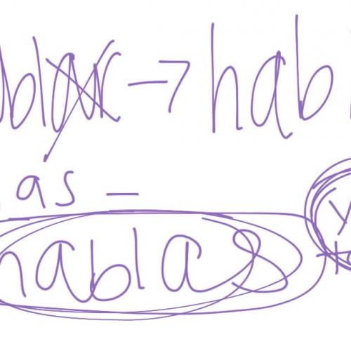 Subject Pronouns and Verb Conjugation (spanish)