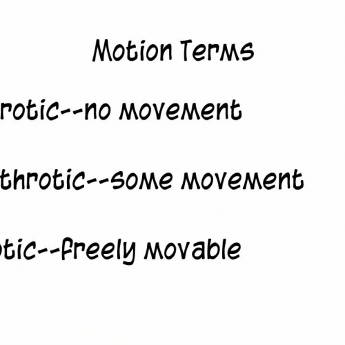 Anatomy of Joints