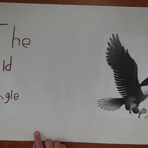 The Bald Eagle Paper slideshow