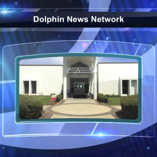 Dolphin News Network 9/24/15