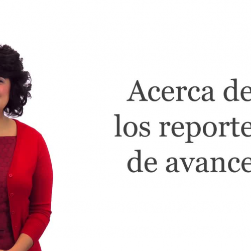 Acerca de los reportes de avance