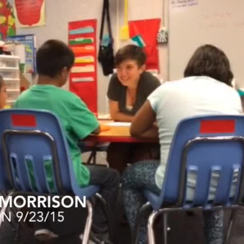 Taylor SDAIE EL Example