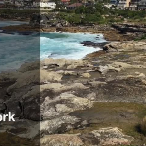 Bondi Beach virtual fieldwork