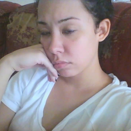 FLVS DESCRIBE THE FAMILY VIDEO PRESENTATION