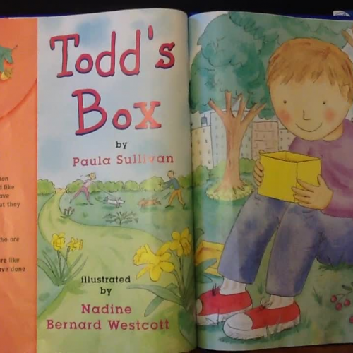 Todd's Box (Trophies Reading Book)