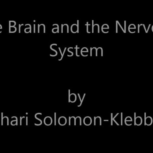 The Brain and Nervous System (ASL) Solomon-Klebba
