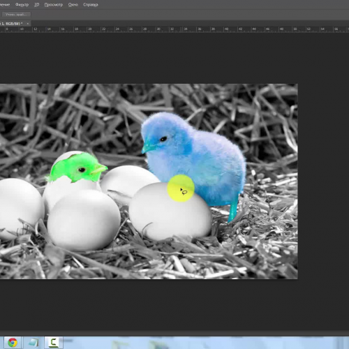 Photoshop Lesson: Coloring Chicken