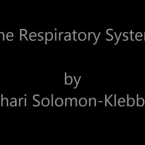 The Respiratory System (ASL) Solomon-Klebba