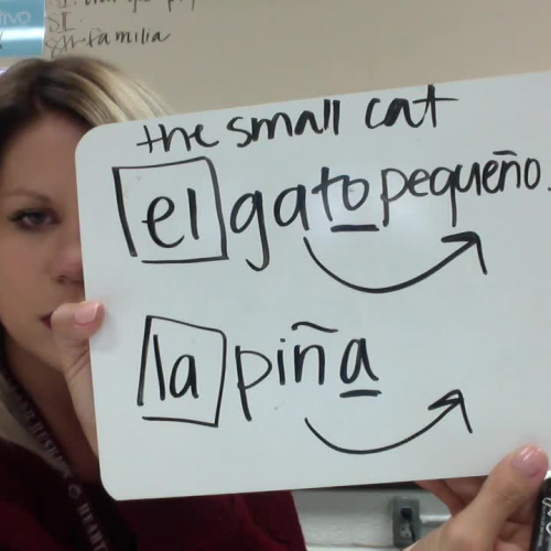 Noun-Adjective agreement in Spanish