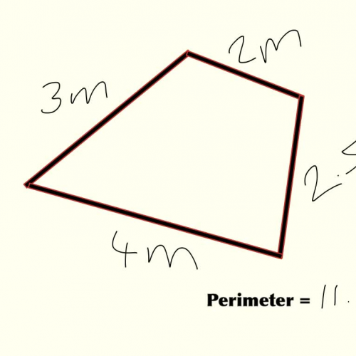 Length and Perimeter