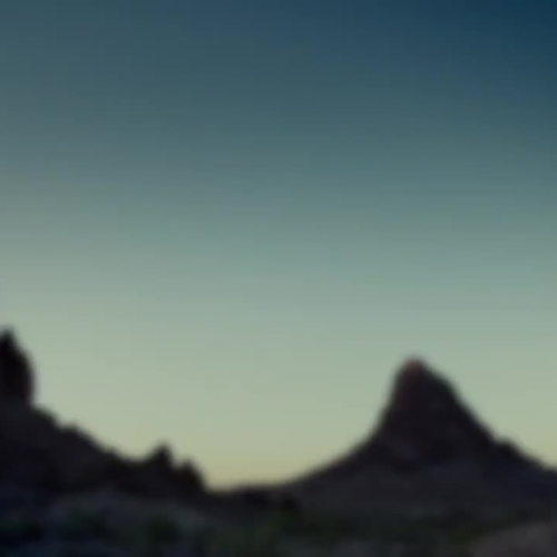 What Will You Discover