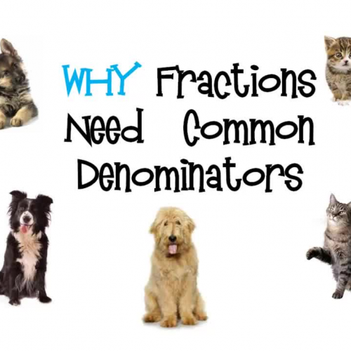 WHY Fractions Need Common Denominators