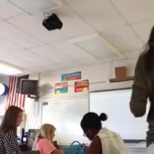 Mini Lesson- CellTransport