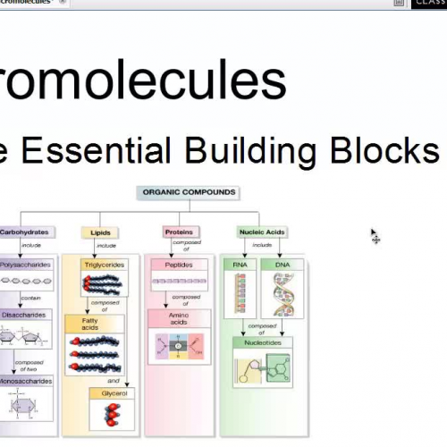 Macromolecules 