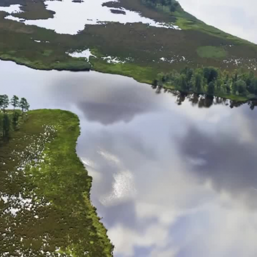 Why We Need to Save the Chesapeake Bay