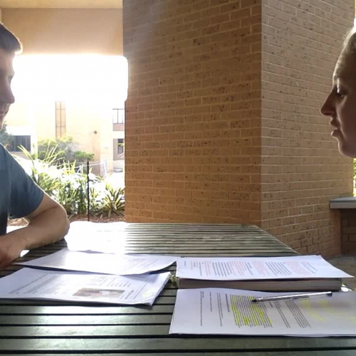 Dramatised Parent Interview