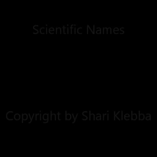 Scientific Names (ASL) Solomon-Klebba