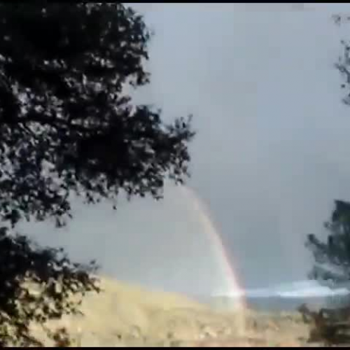 Double Rainbow Auto-tuned