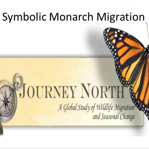 VES Symbolic Monarch Migration