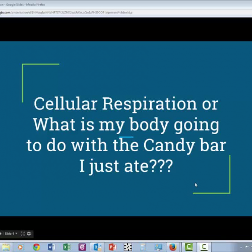 Cellular Respiration Lesson