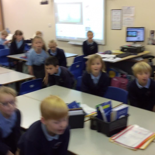 Tête, épaules, genoux et pieds.