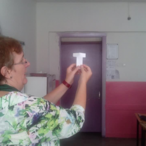 Flying seeds - model