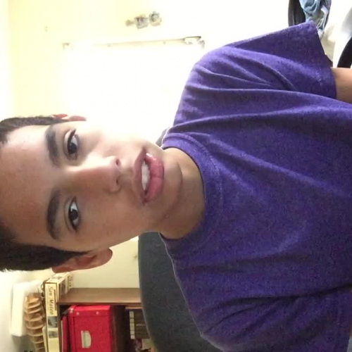 3.02 Describe the Family Visual Presentation