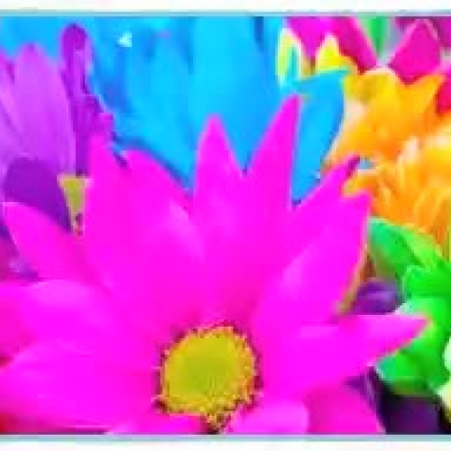 CS Music Composition/Arrangement Project