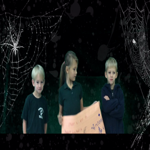 Kindergarten Spider Commercials