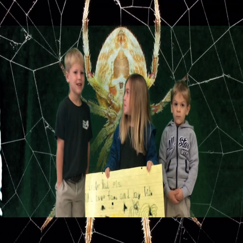 Kindergarten Spider Commercials