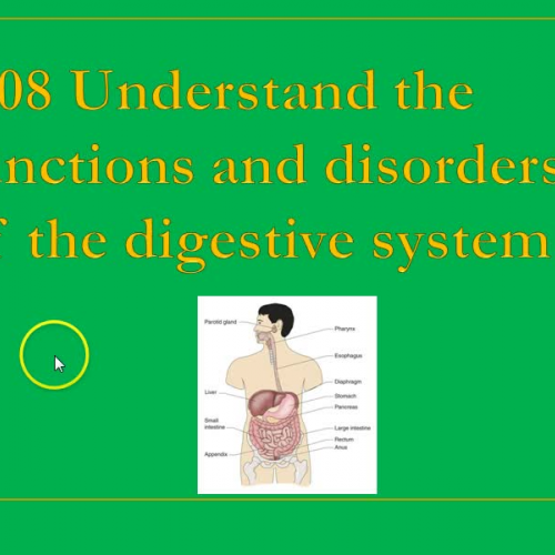 2.08 Functions & Disorders of Digestive System