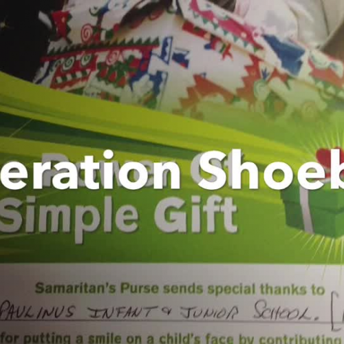 Operation Shoebox