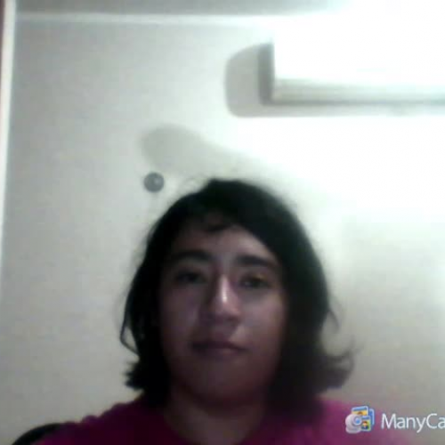 Videocast Present Perfect