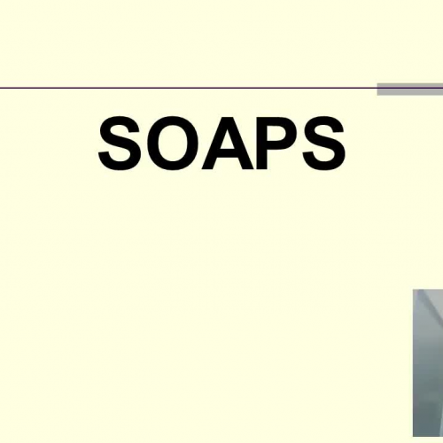 Soaps and Detergents