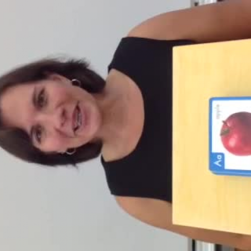 Treasures Letter Sounds