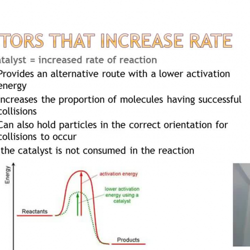 Rate of Reaction Part 2