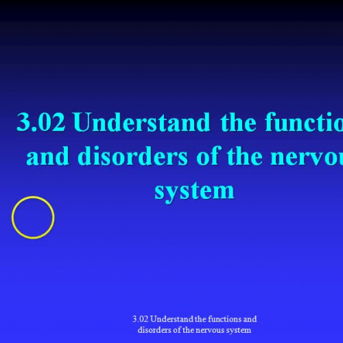 3.02 Nervous System functions and disorders