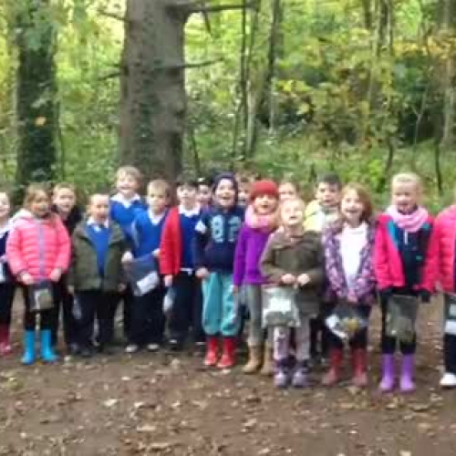 A visit to Charleville forest