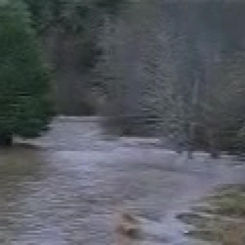 Hurricane Patricia Flooding