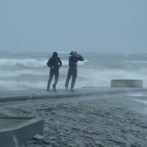 Watch These Guys Try To Stay Standing Against Hurricane Patricia