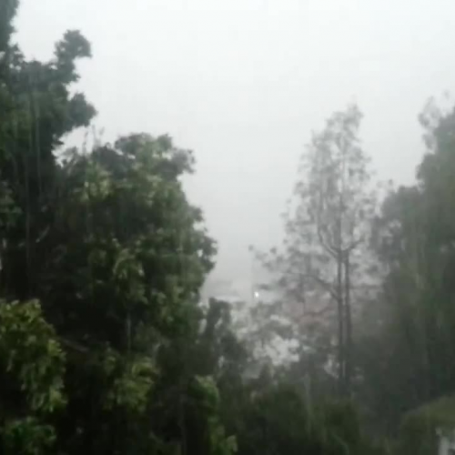 Crazy Rain And Wind From Hurricane Patricia