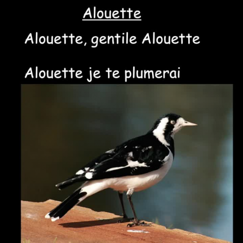 Alouette sing-along