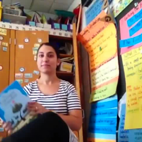 Second Grade: Read Aloud