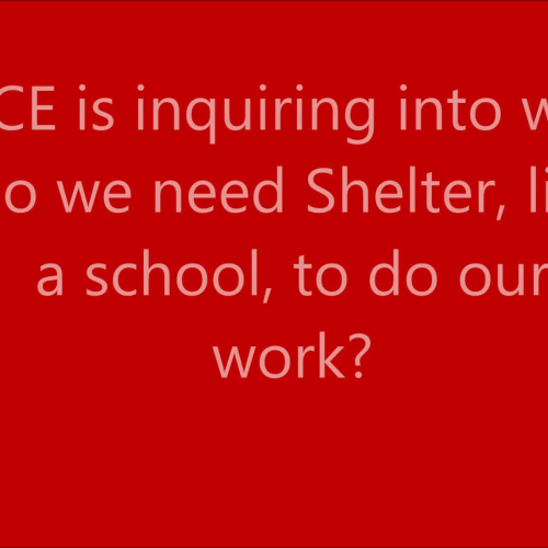 Why do we have Shelters?