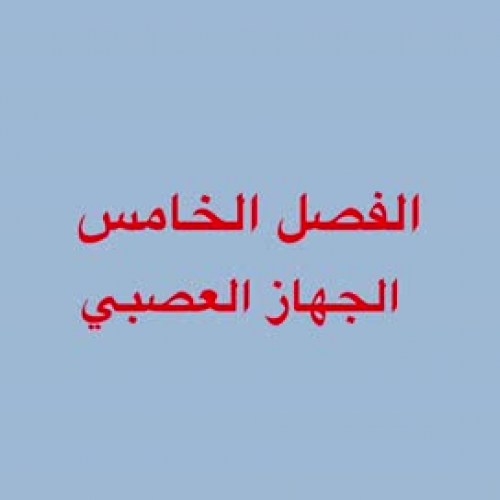 الجهاز العصبي