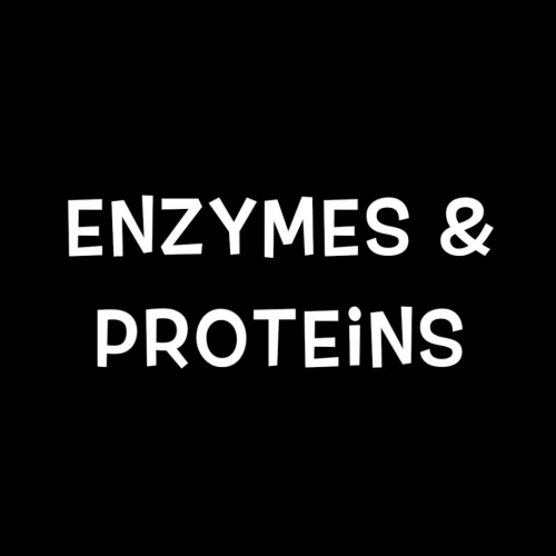 Tenderize Your Jell-O (Enzyme Experiment)