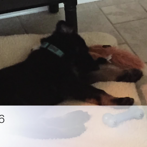 The Bad Beginning - Chapter 6