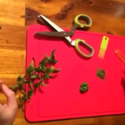 Snip Fresh Herbs Fast !!