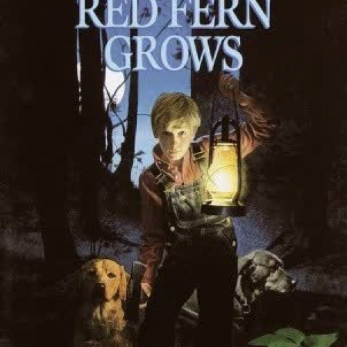 Where the Red Fern Grows, Chp. 4 ,pt 1